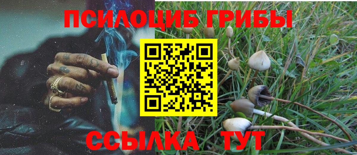 Псилоцибиновые грибы мухоморы  Вход с VPN  Псилоцибиновые грибы Psilocybine cubensis  Приморско-Ахтарск 